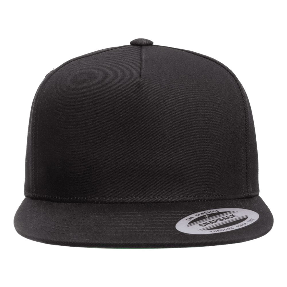 Embroidered Snapback Hat